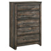 G223483 Chest image