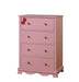 DANI Chest image